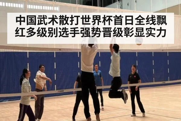 中国武术散打世界杯首日全线飘红多级别选手强势晋级彰显实力